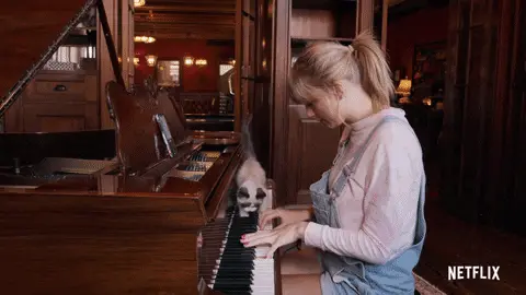Taylor Swift GIF representing HTTP status code 201